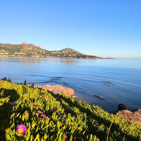 Vacances En Paradis Saint-Raphaël Kültér fotó