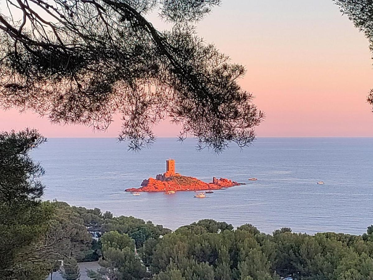 Vacances En Paradis Saint-Raphaël Kültér fotó
