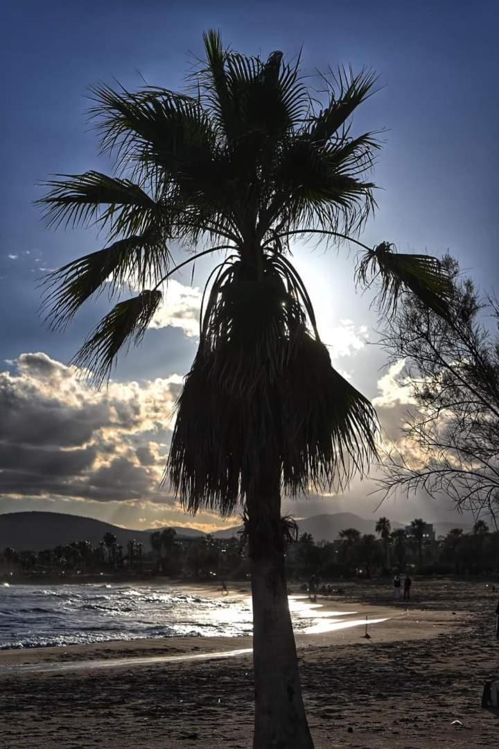 Vacances En Paradis Saint-Raphaël Kültér fotó