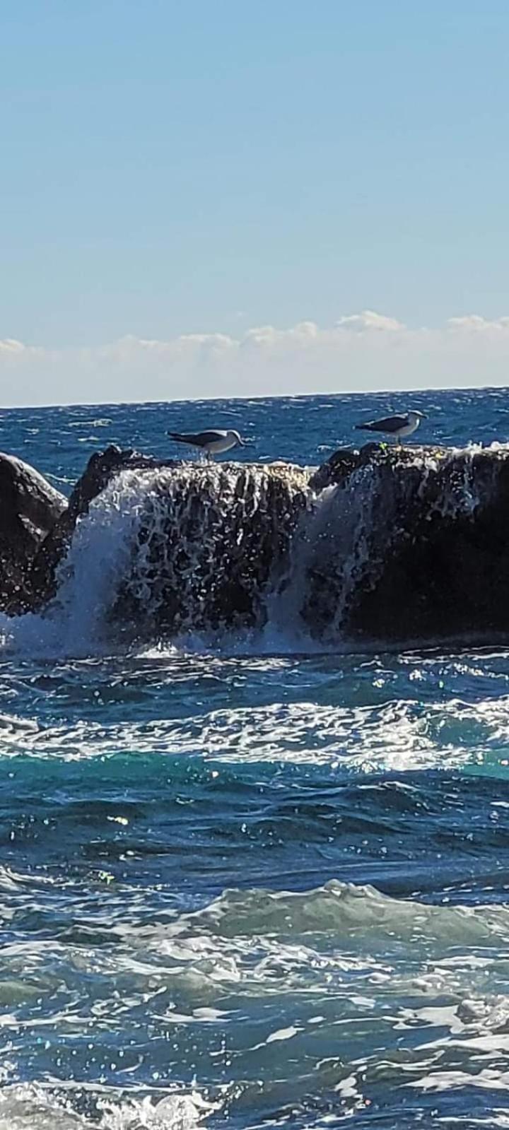 Vacances En Paradis Saint-Raphaël Kültér fotó