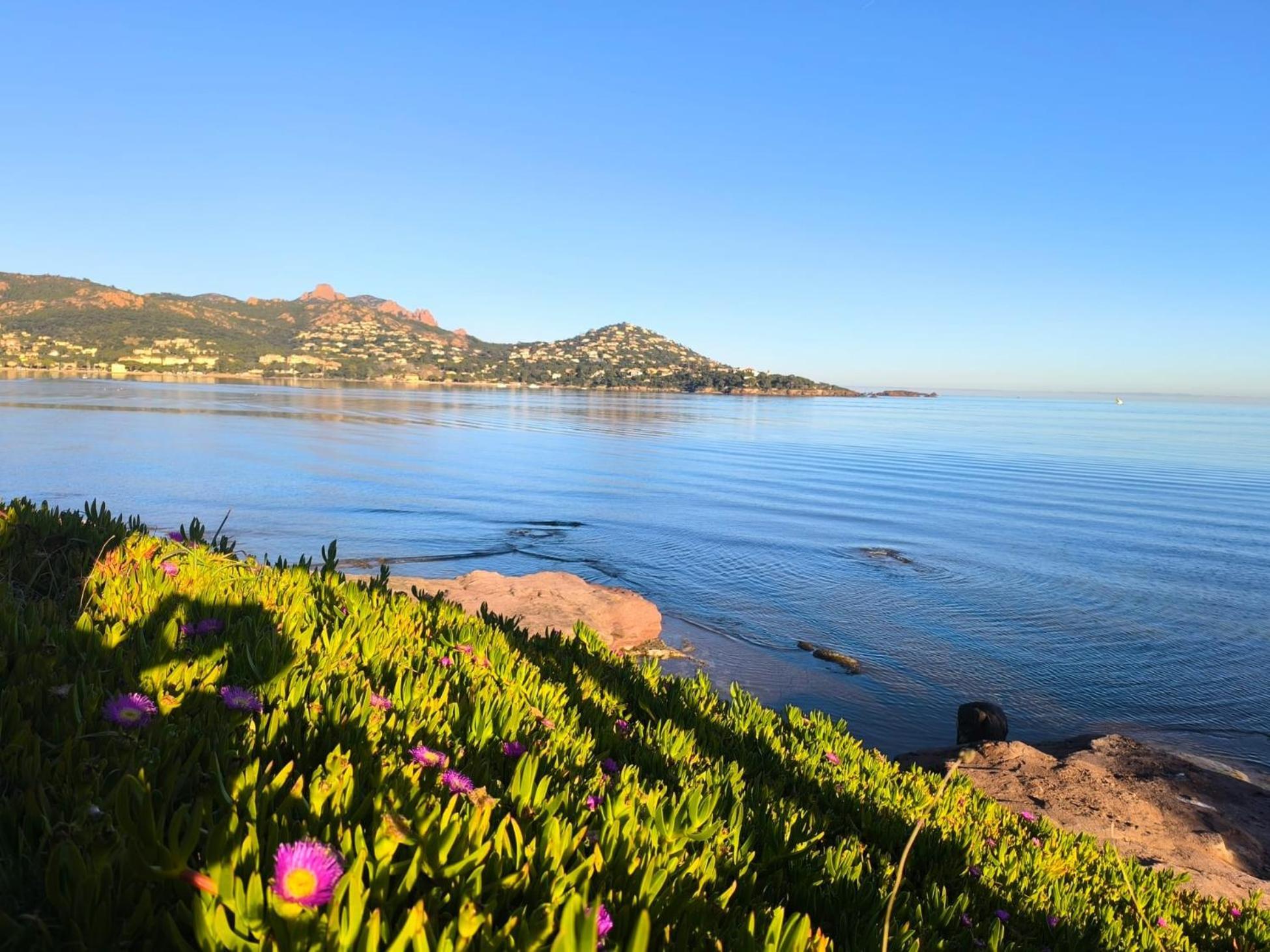 Vacances En Paradis Saint-Raphaël Kültér fotó